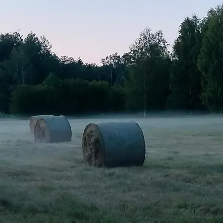 Metsatuule Puhkekuela *