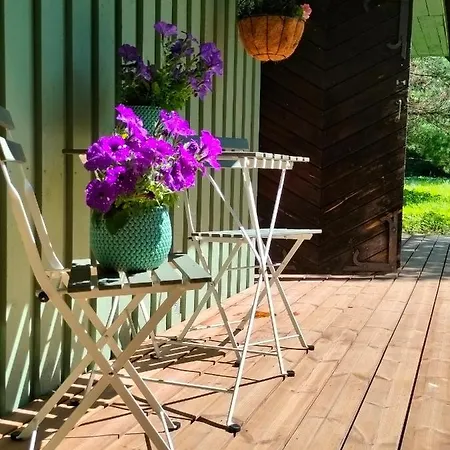 Kamp Metsatuule Puhkekuela *