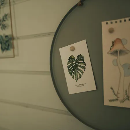 Metsatuule Puhkekuela Kamp HIIUMAA