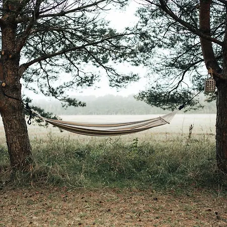 Metsatuule Puhkekuela Camping
