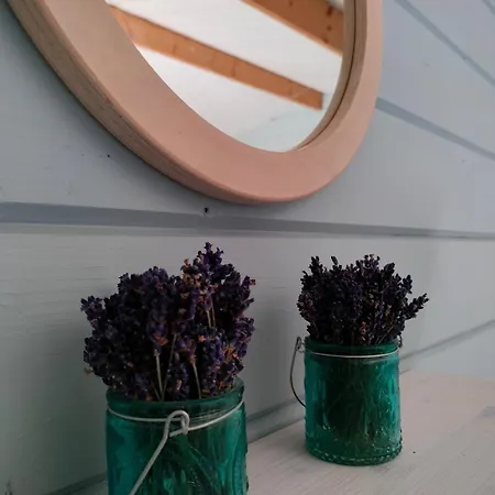 Kamp Metsatuule Puhkekuela