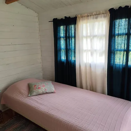 Metsatuule Puhkekuela مكان تخييم *