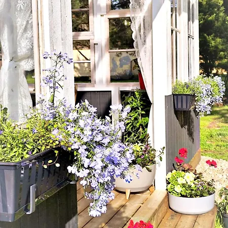 Metsatuule Puhkekuela *