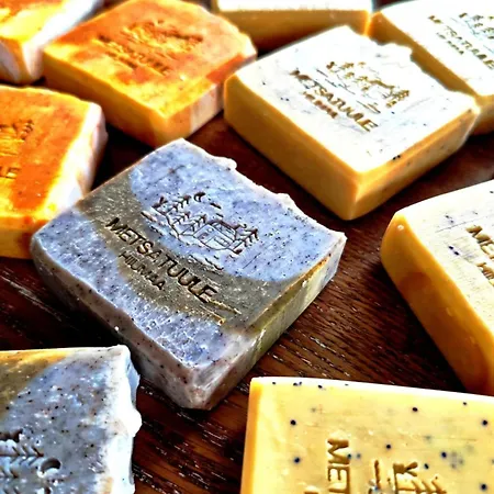 Metsatuule Puhkekuela