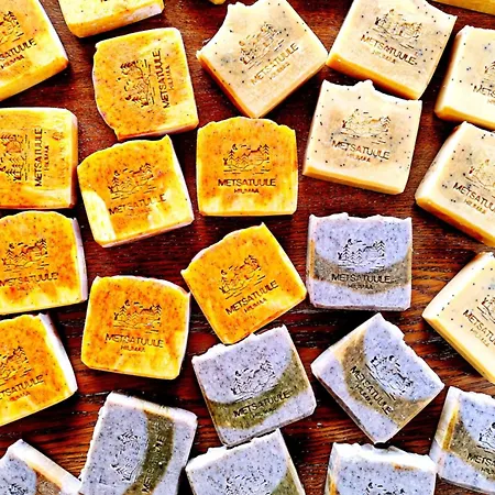 Metsatuule Puhkekuela Camping *