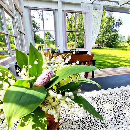 مكان تخييم Metsatuule Puhkekuela