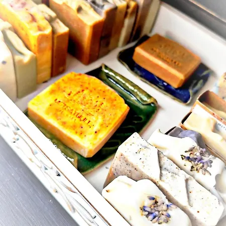 Metsatuule Puhkekuela Camping *