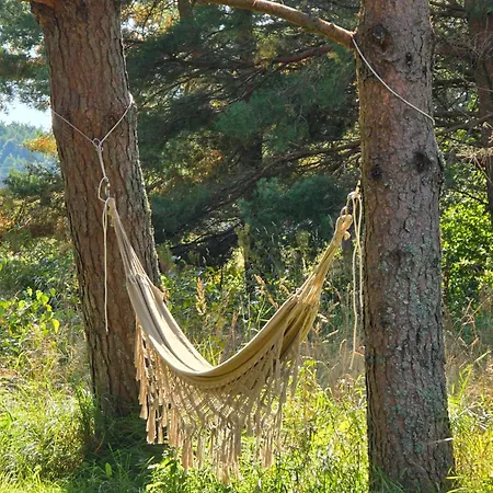 Metsatuule Puhkekuela Camping *