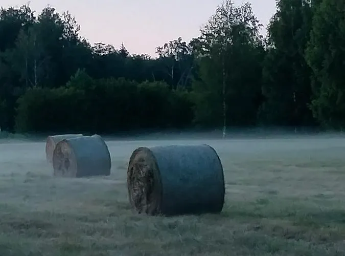 Metsatuule Puhkeküla *