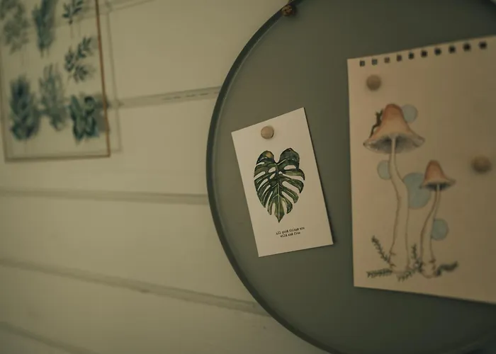 Metsatuule Puhkekuela Camping HIIUMAA