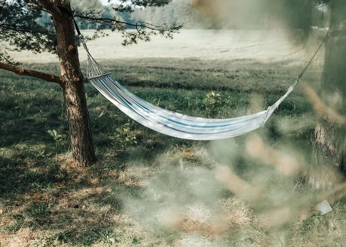 Metsatuule Puhkeküla Camping