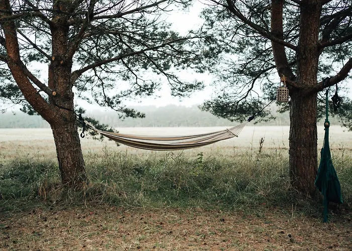 Metsatuule Puhkeküla Camping