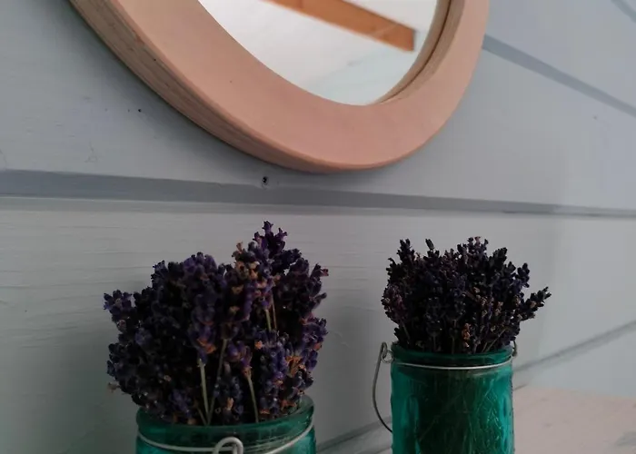 Camping Metsatuule Puhkeküla