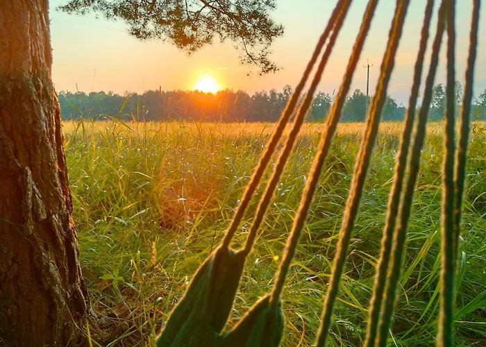 Metsatuule Puhkekuela * HIIUMAA
