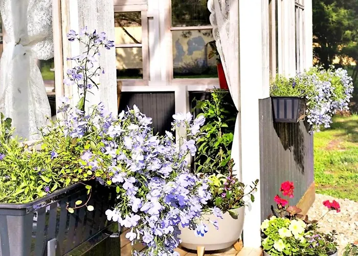 Metsatuule Puhkekuela *