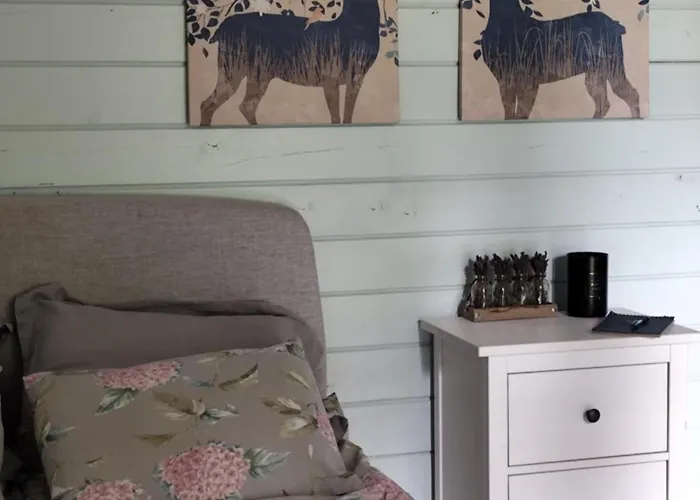 Metsatuule Puhkeküla *