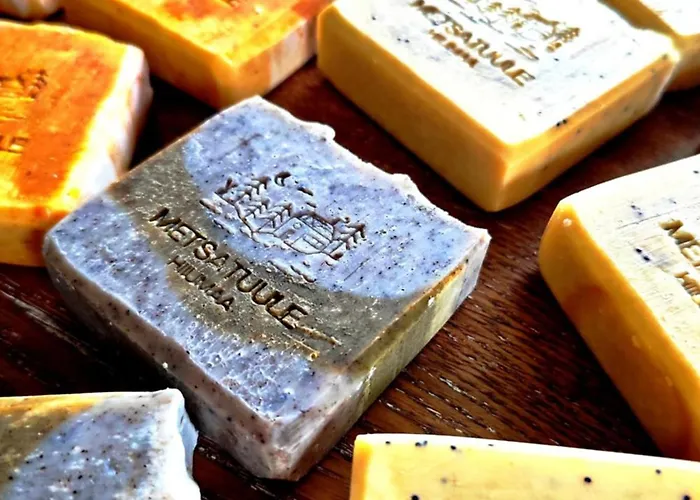 Metsatuule Puhkekuela