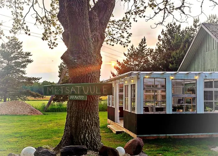 Metsatuule Puhkeküla