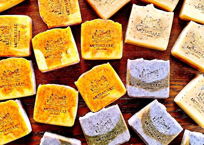 Metsatuule Puhkeküla Camping *