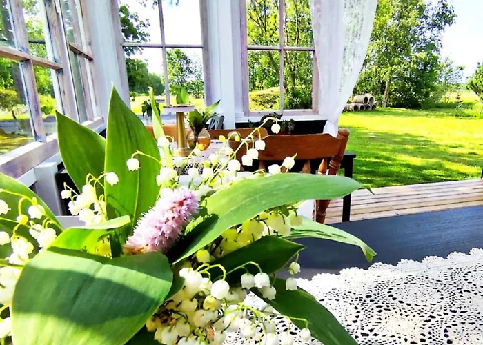 Camping Metsatuule Puhkeküla