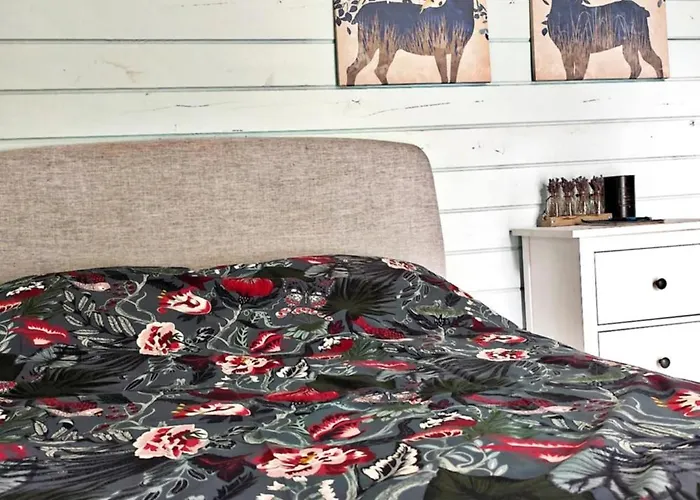 Metsatuule Puhkeküla Camping *