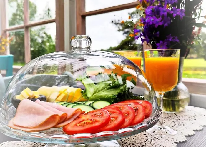 Metsatuule Puhkekuela Camping