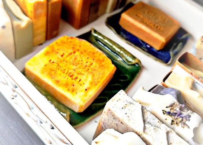 Metsatuule Puhkekuela Camping *